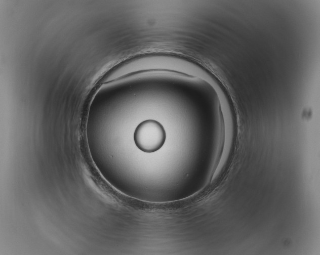 X0000111350530200907241200