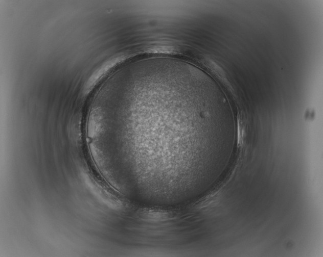 X0000111350531200907241200