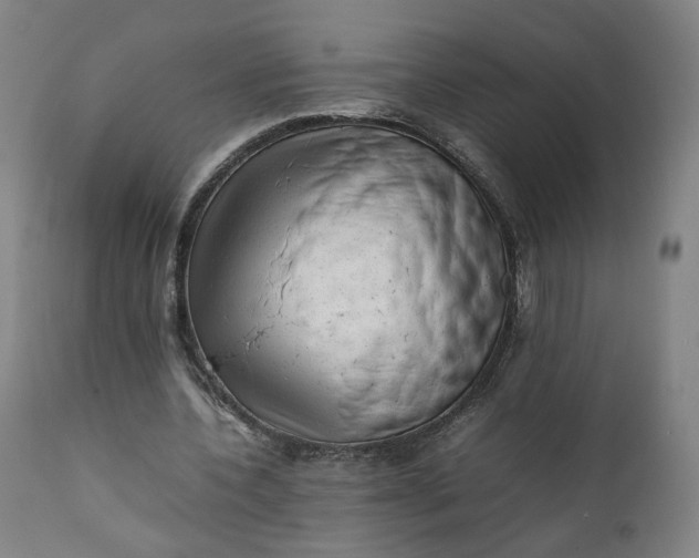 X0000111350532200907241200