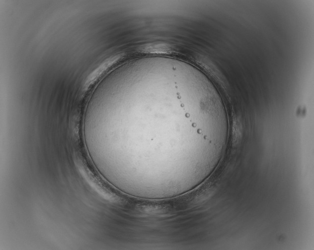 X0000111350533200907241200