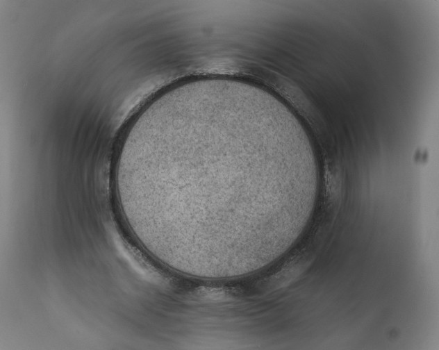 X0000111350534200907241200