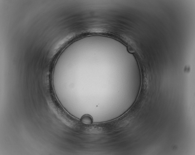 X0000111350535200907241200