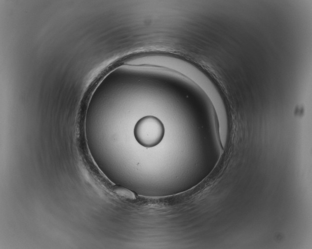 X0000111350536200907241200