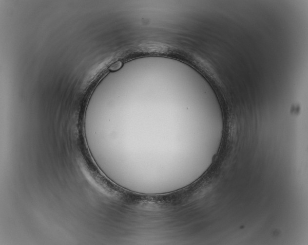 X0000111350538200907241200