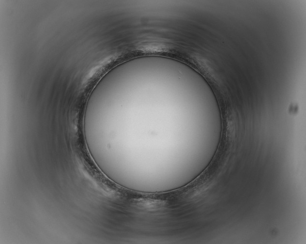 X0000111350539200907241200