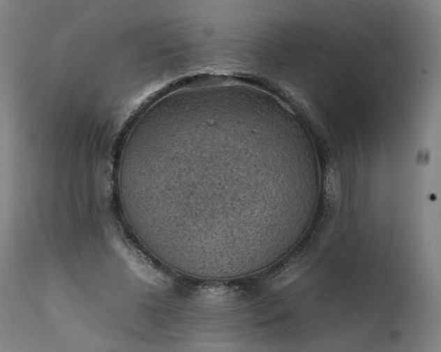 X0000111350540200907241200