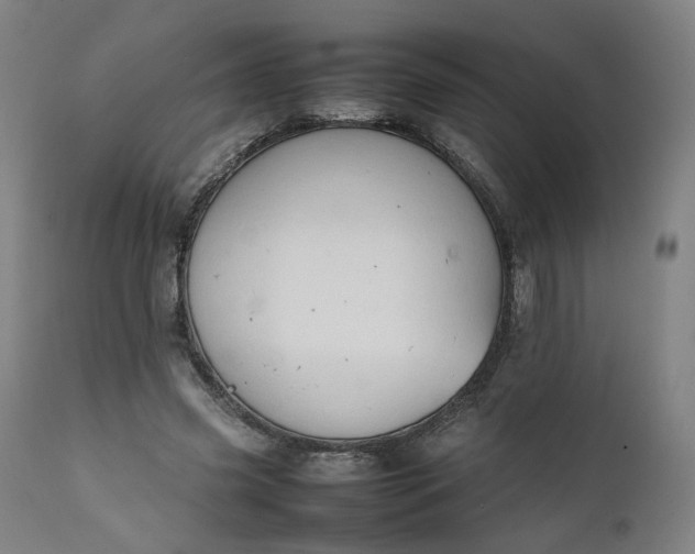 X0000111350541200907241200