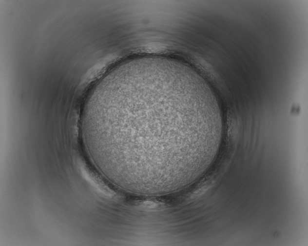 X0000111350542200907241200