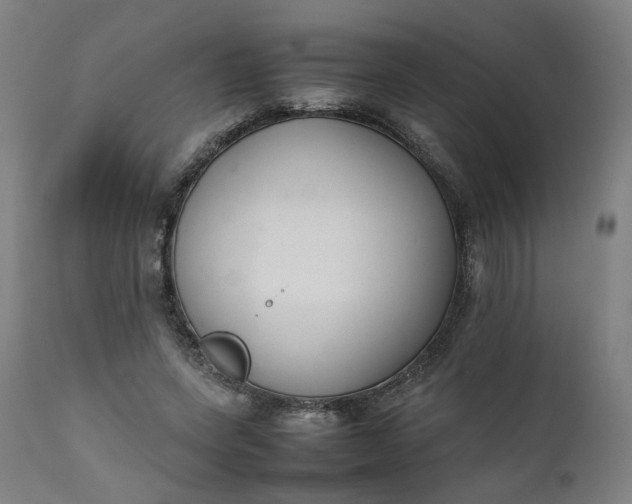 X0000111350543200907241200