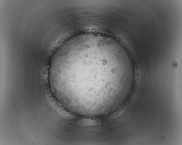 X0000111350545200907241201