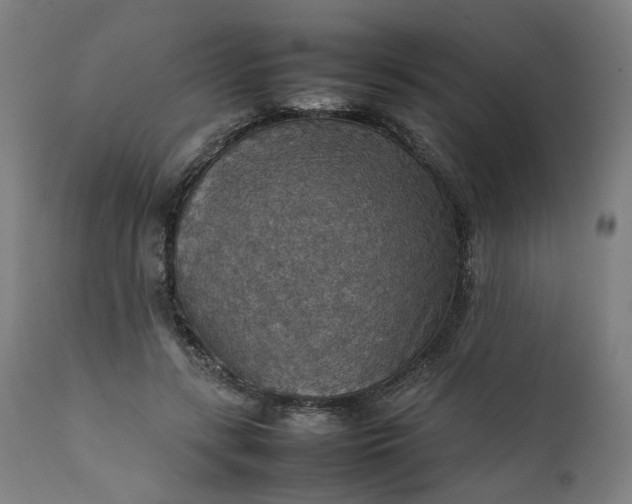 X0000111350547200907241201