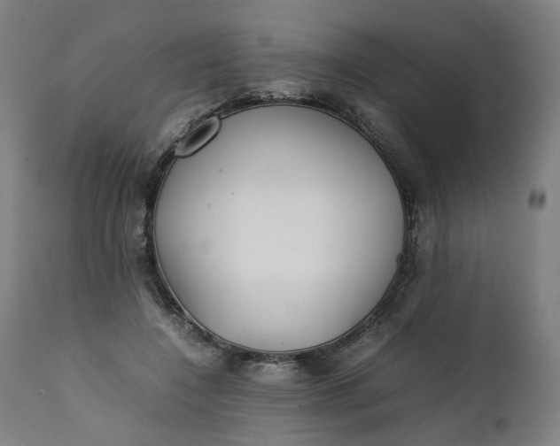 X0000111350548200907241201