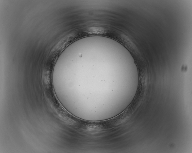 X0000111350549200907241201