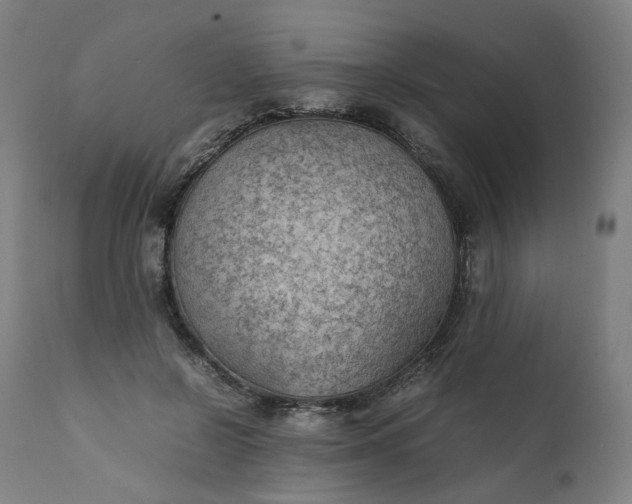 X0000111350550200907241201