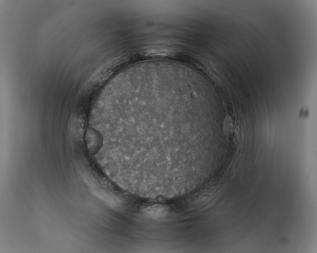 X0000111350551200907241201