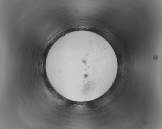 X0000111350552200907241201