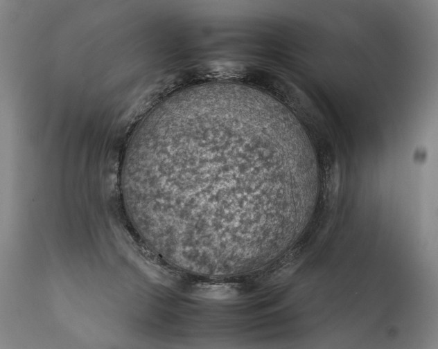 X0000111350553200907241201