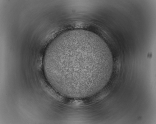 X0000111350554200907241201