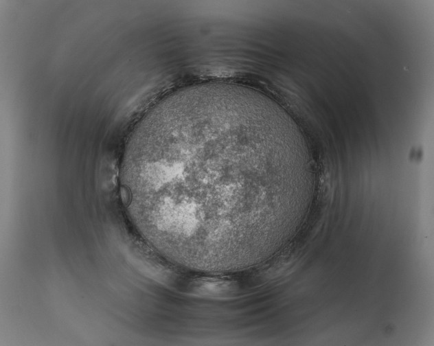 X0000111350555200907241201