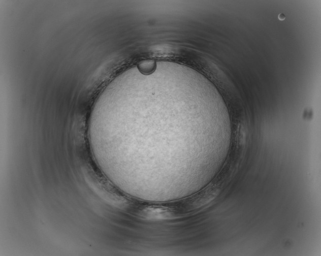 X0000111350557200907241201