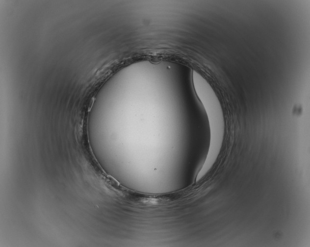 X0000111350558200907241201