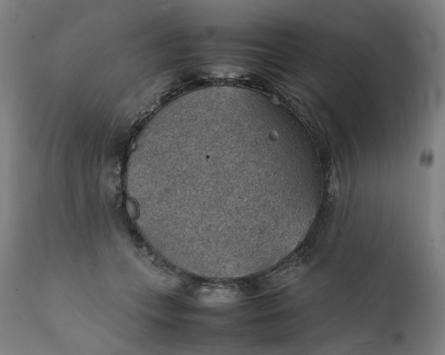 X0000111350559200907241201