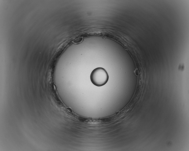 X0000111350560200907241201