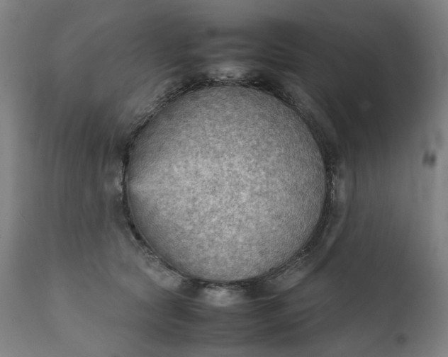 X0000111350561200907241201