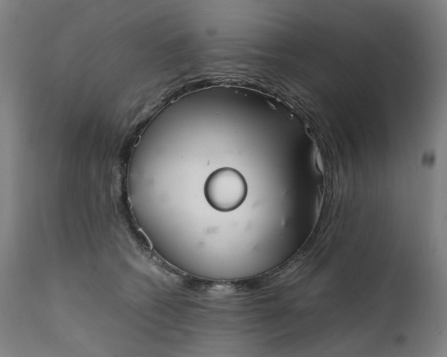 X0000111350562200907241201