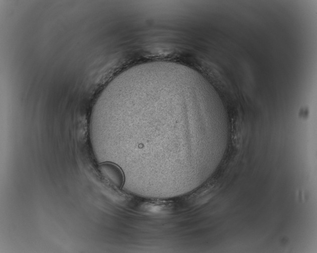 X0000111350563200907241201