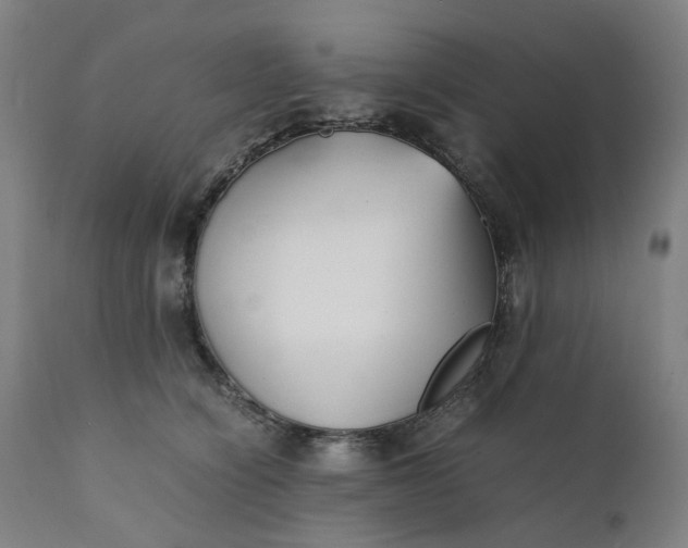 X0000111350564200907241201