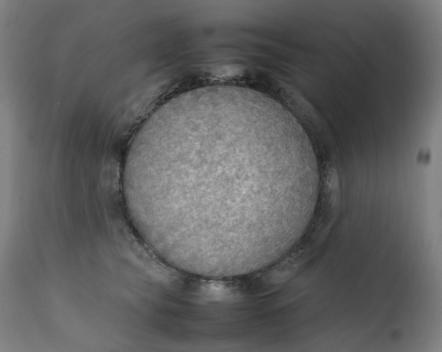 X0000111350565200907241201