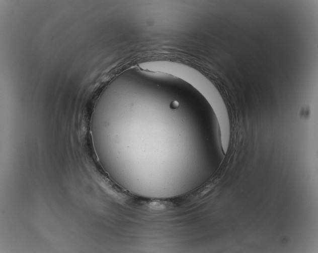 X0000111350566200907241201