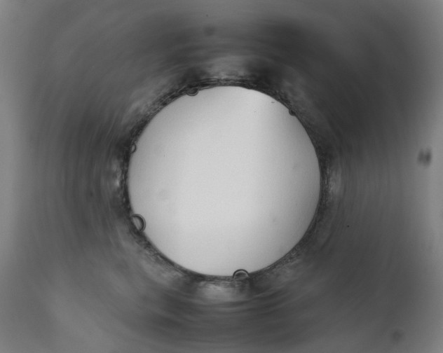 X0000111350567200907241201