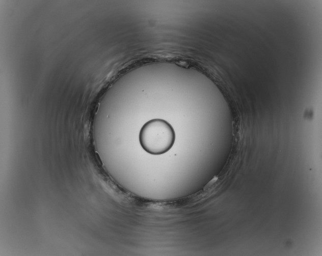 X0000111350568200907241201