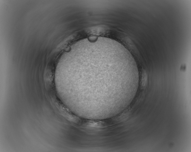 X0000111350569200907241201