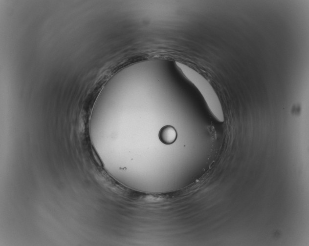 X0000111350570200907241201