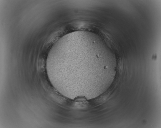 X0000111350571200907241201