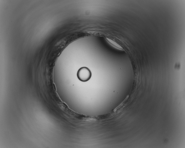 X0000111350572200907241201