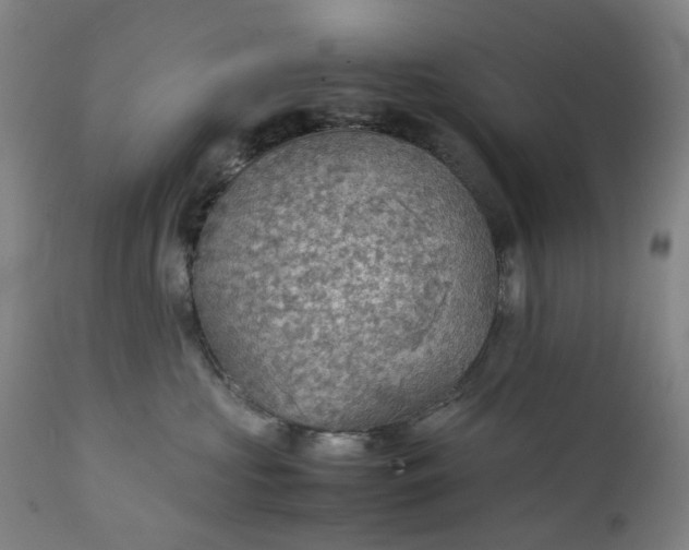 X0000111350573200907241201