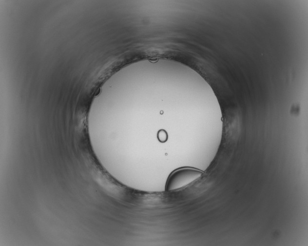 X0000111350574200907241201