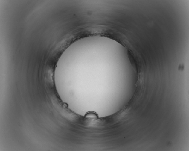 X0000111350575200907241201