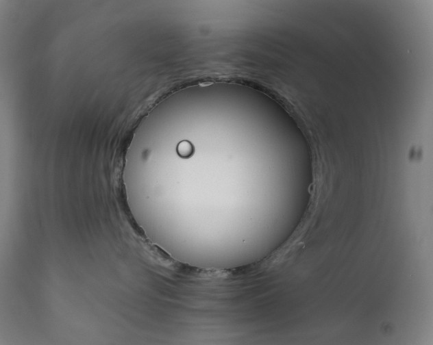 X0000111350576200907241201