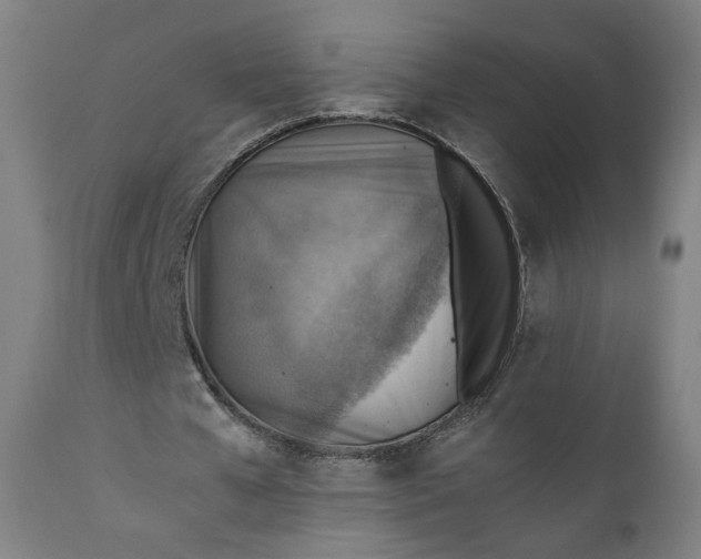 X0000111350577200907241200