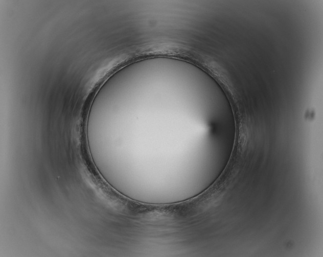 X0000111350578200907241200