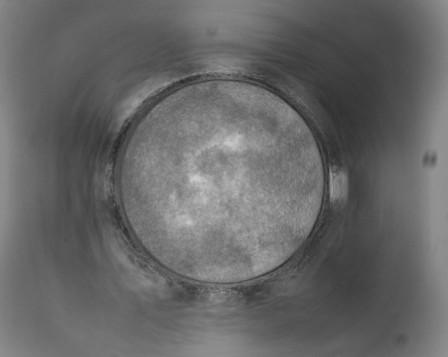 X0000111350579200907241200