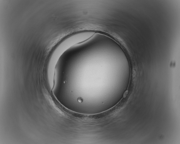 X0000111350581200907241200