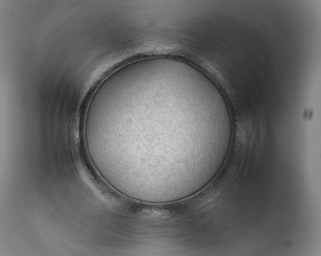 X0000111350582200907241200