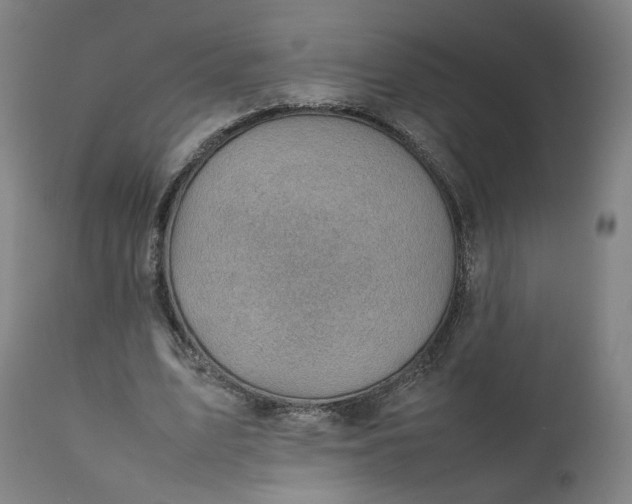 X0000111350583200907241200