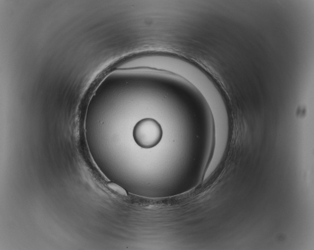 X0000111350584200907241200